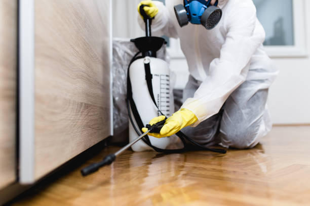 Best Best Pest Control Companies  in Ponca City, OK