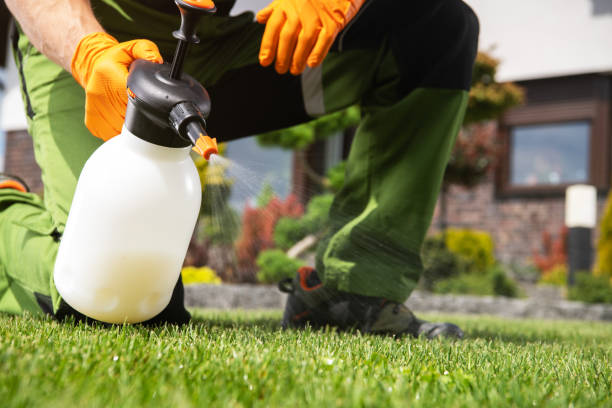 Best Best Pest Control Companies  in Ponca City, OK
