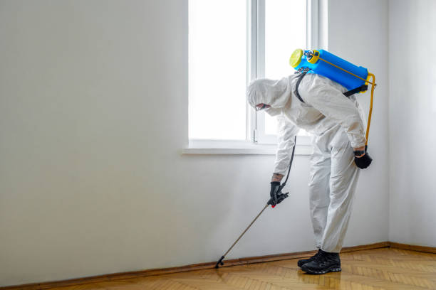 Trusted Ponca City, OK Pest Control Experts
