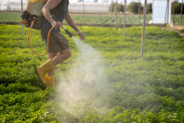 Best Local Pest Control Services  in Ponca City, OK