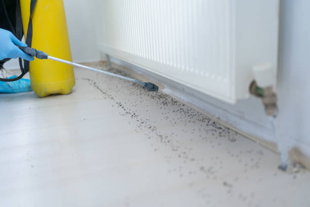 Best Pest Inspection Near Me  in Ponca City, OK