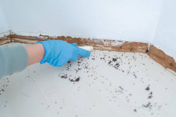 Best Affordable Pest Control Services  in Ponca City, OK